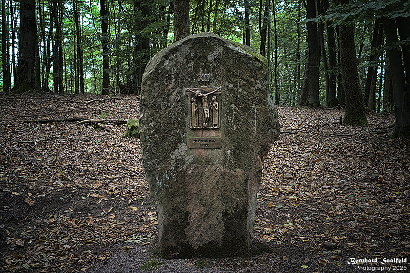 Bernhard Saalfeld - 12 Station